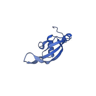 12333_7nhm_W_v1-1
70S ribosome from Staphylococcus aureus