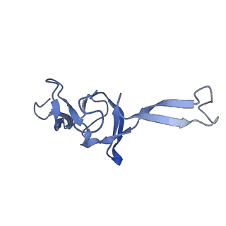 12333_7nhm_X_v1-1
70S ribosome from Staphylococcus aureus