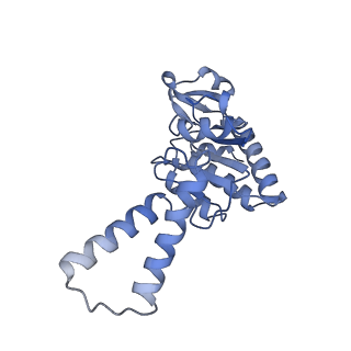 12333_7nhm_c_v1-1
70S ribosome from Staphylococcus aureus