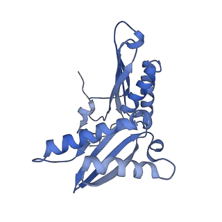 12333_7nhm_d_v1-1
70S ribosome from Staphylococcus aureus