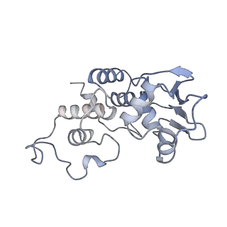 12333_7nhm_e_v1-1
70S ribosome from Staphylococcus aureus