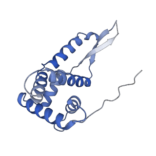 12333_7nhm_h_v1-1
70S ribosome from Staphylococcus aureus