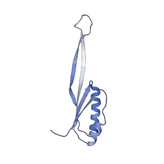 12333_7nhm_k_v1-1
70S ribosome from Staphylococcus aureus