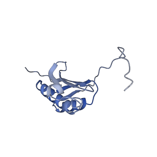12333_7nhm_l_v1-1
70S ribosome from Staphylococcus aureus