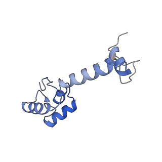 12333_7nhm_n_v1-1
70S ribosome from Staphylococcus aureus
