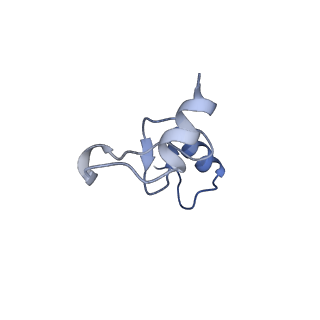 12333_7nhm_o_v1-1
70S ribosome from Staphylococcus aureus