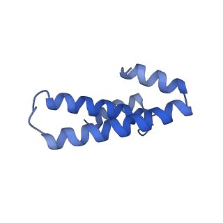 12333_7nhm_p_v1-1
70S ribosome from Staphylococcus aureus