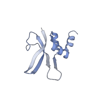 12333_7nhm_q_v1-1
70S ribosome from Staphylococcus aureus