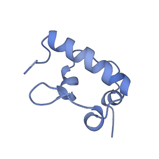 12333_7nhm_s_v1-1
70S ribosome from Staphylococcus aureus