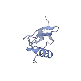 12333_7nhm_t_v1-1
70S ribosome from Staphylococcus aureus