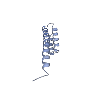 12333_7nhm_u_v1-1
70S ribosome from Staphylococcus aureus