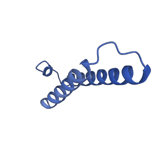 12334_7nhn_2_v1-1
VgaL, an antibiotic resistance ABCF, in complex with 70S ribosome from Listeria monocytogenes