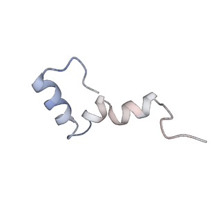 12334_7nhn_7_v1-1
VgaL, an antibiotic resistance ABCF, in complex with 70S ribosome from Listeria monocytogenes
