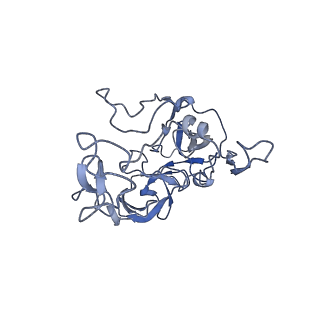 12334_7nhn_G_v1-1
VgaL, an antibiotic resistance ABCF, in complex with 70S ribosome from Listeria monocytogenes