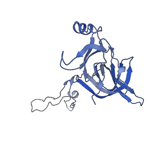 12334_7nhn_H_v1-1
VgaL, an antibiotic resistance ABCF, in complex with 70S ribosome from Listeria monocytogenes