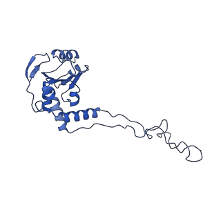 12334_7nhn_I_v1-1
VgaL, an antibiotic resistance ABCF, in complex with 70S ribosome from Listeria monocytogenes
