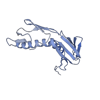 12334_7nhn_K_v1-1
VgaL, an antibiotic resistance ABCF, in complex with 70S ribosome from Listeria monocytogenes