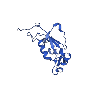 12334_7nhn_M_v1-1
VgaL, an antibiotic resistance ABCF, in complex with 70S ribosome from Listeria monocytogenes