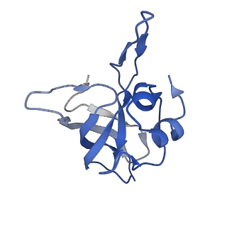 12334_7nhn_N_v1-1
VgaL, an antibiotic resistance ABCF, in complex with 70S ribosome from Listeria monocytogenes