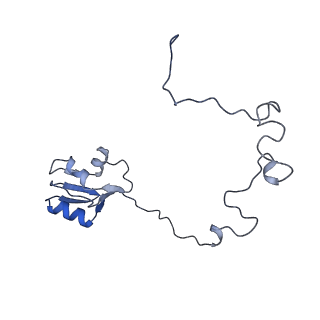 12334_7nhn_O_v1-1
VgaL, an antibiotic resistance ABCF, in complex with 70S ribosome from Listeria monocytogenes
