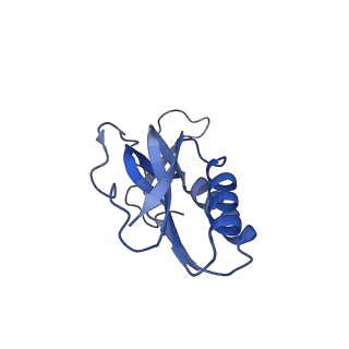 12334_7nhn_P_v1-1
VgaL, an antibiotic resistance ABCF, in complex with 70S ribosome from Listeria monocytogenes