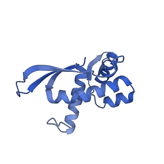 12334_7nhn_Q_v1-1
VgaL, an antibiotic resistance ABCF, in complex with 70S ribosome from Listeria monocytogenes