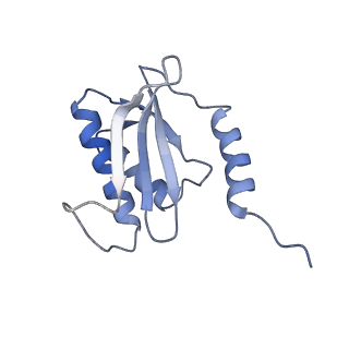 12334_7nhn_R_v1-1
VgaL, an antibiotic resistance ABCF, in complex with 70S ribosome from Listeria monocytogenes