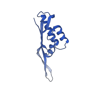 12334_7nhn_V_v1-1
VgaL, an antibiotic resistance ABCF, in complex with 70S ribosome from Listeria monocytogenes