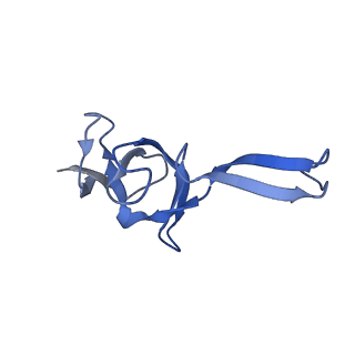 12334_7nhn_X_v1-1
VgaL, an antibiotic resistance ABCF, in complex with 70S ribosome from Listeria monocytogenes
