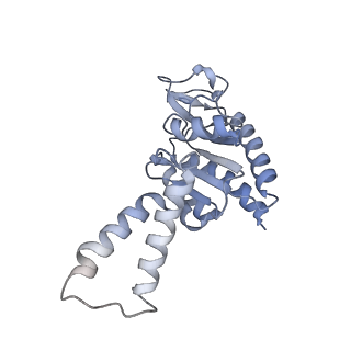 12334_7nhn_c_v1-1
VgaL, an antibiotic resistance ABCF, in complex with 70S ribosome from Listeria monocytogenes