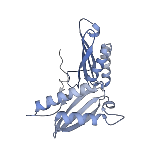 12334_7nhn_d_v1-1
VgaL, an antibiotic resistance ABCF, in complex with 70S ribosome from Listeria monocytogenes