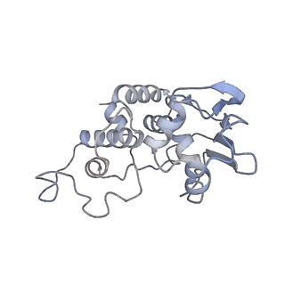 12334_7nhn_e_v1-1
VgaL, an antibiotic resistance ABCF, in complex with 70S ribosome from Listeria monocytogenes