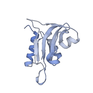12334_7nhn_i_v1-1
VgaL, an antibiotic resistance ABCF, in complex with 70S ribosome from Listeria monocytogenes