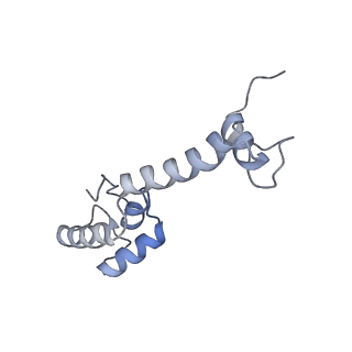 12334_7nhn_n_v1-1
VgaL, an antibiotic resistance ABCF, in complex with 70S ribosome from Listeria monocytogenes