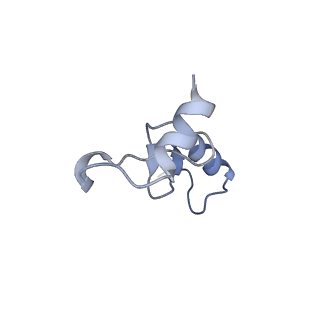 12334_7nhn_o_v1-1
VgaL, an antibiotic resistance ABCF, in complex with 70S ribosome from Listeria monocytogenes