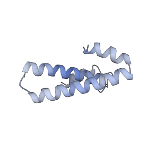 12334_7nhn_p_v1-1
VgaL, an antibiotic resistance ABCF, in complex with 70S ribosome from Listeria monocytogenes