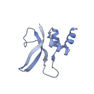 12334_7nhn_q_v1-1
VgaL, an antibiotic resistance ABCF, in complex with 70S ribosome from Listeria monocytogenes
