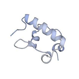 12334_7nhn_s_v1-1
VgaL, an antibiotic resistance ABCF, in complex with 70S ribosome from Listeria monocytogenes