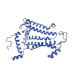 12335_7nho_D_v1-0
Structure of PSII-M