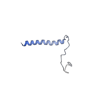 12336_7nhp_3_v1-0
Structure of PSII-I (PSII with Psb27, Psb28, and Psb34)