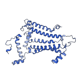 12336_7nhp_D_v1-0
Structure of PSII-I (PSII with Psb27, Psb28, and Psb34)