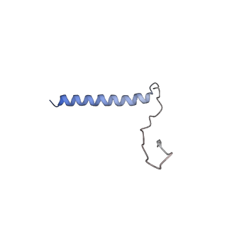12337_7nhq_3_v1-0
Structure of PSII-I prime (PSII with Psb28, and Psb34)