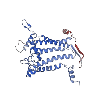 12337_7nhq_A_v1-0
Structure of PSII-I prime (PSII with Psb28, and Psb34)