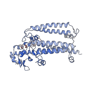 12337_7nhq_C_v1-0
Structure of PSII-I prime (PSII with Psb28, and Psb34)