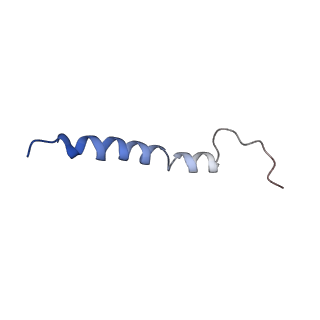 12337_7nhq_F_v1-0
Structure of PSII-I prime (PSII with Psb28, and Psb34)