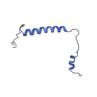 12337_7nhq_H_v1-0
Structure of PSII-I prime (PSII with Psb28, and Psb34)