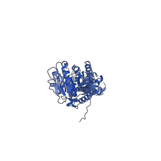 12338_7nhr_G_v1-0
Putative transmembrane protein Wzc K540M C1