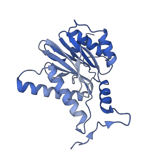 12341_7nht_A_v1-2
Akirin2 bound human proteasome