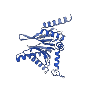 12341_7nht_B_v1-2
Akirin2 bound human proteasome