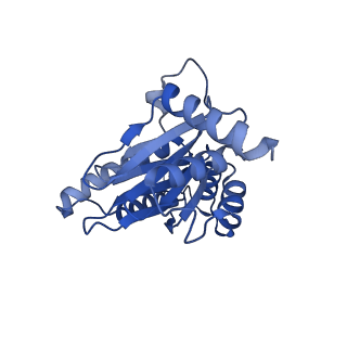 12341_7nht_C_v1-2
Akirin2 bound human proteasome